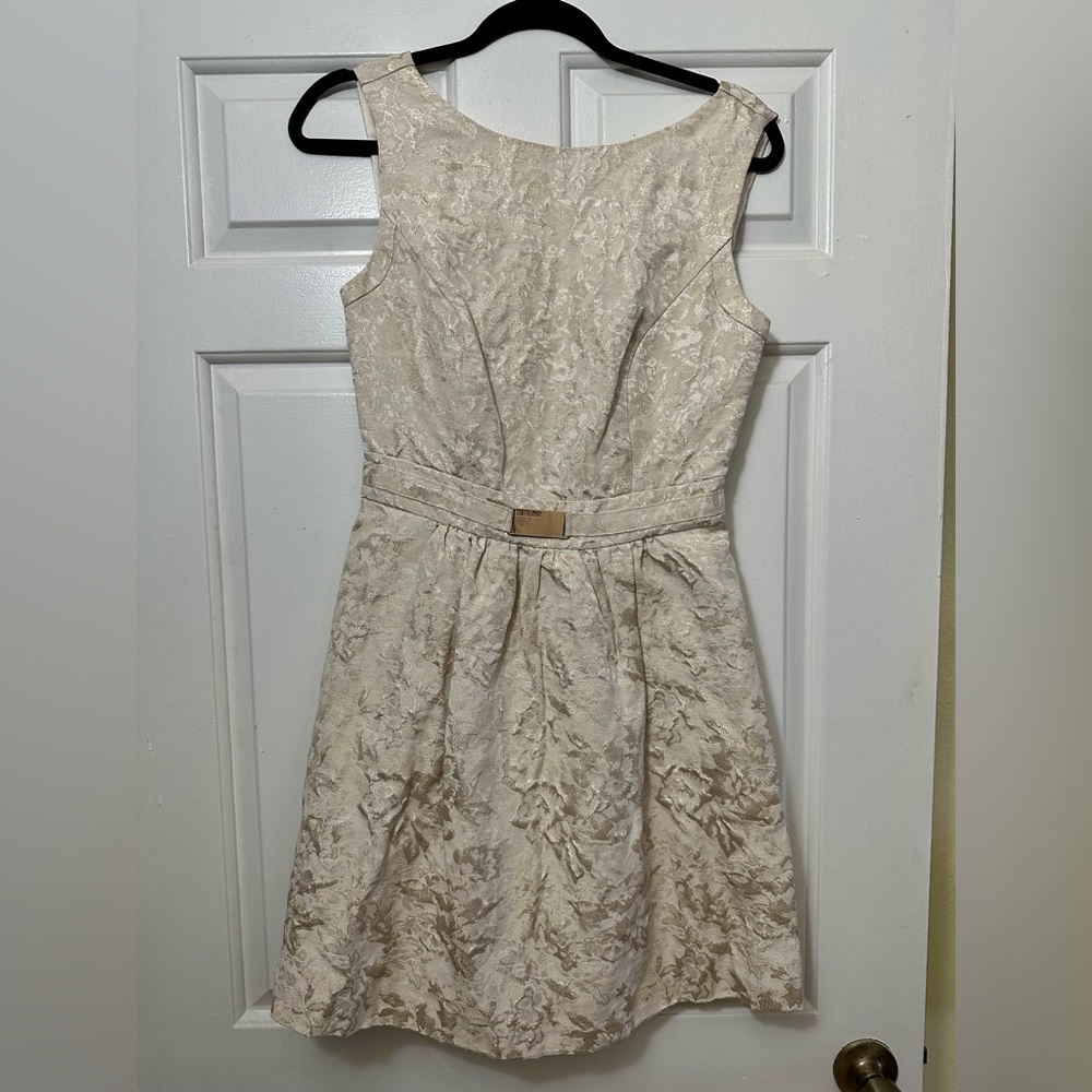 Jennifer Lopez Dress